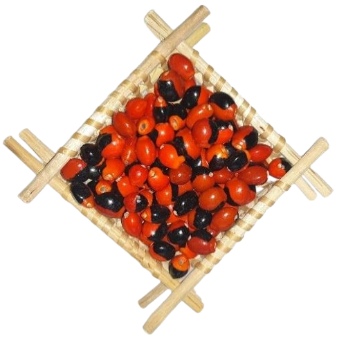 Semillas de ojo de cabra