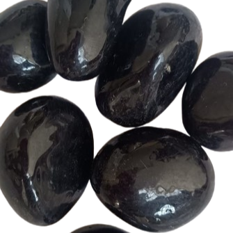 Semilla de Jarina Col