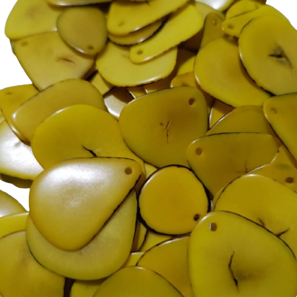 Semilla de Jarina en rodajas F